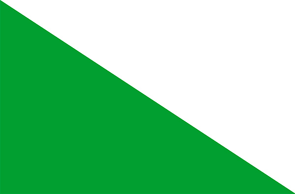 Bandera del Cantón Zamora